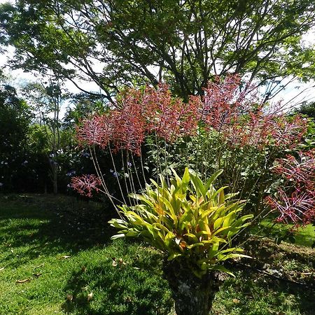 El Paraiso Verde B&B 아테나스 외부 사진