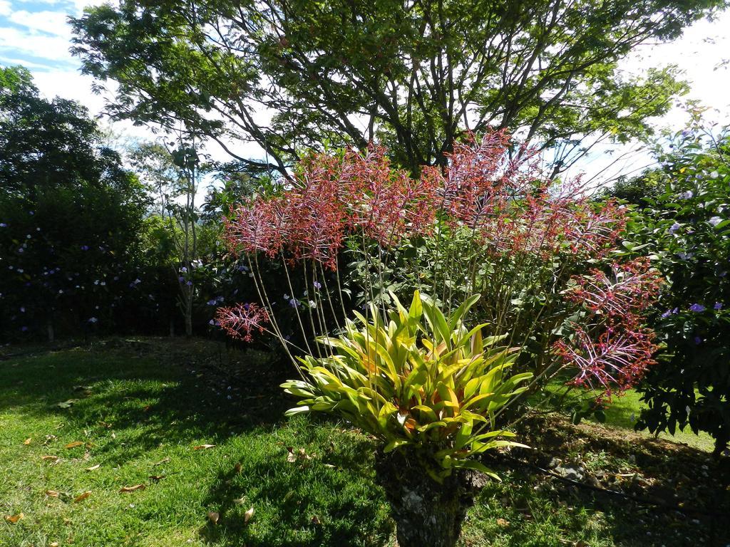 El Paraiso Verde B&B 아테나스 외부 사진